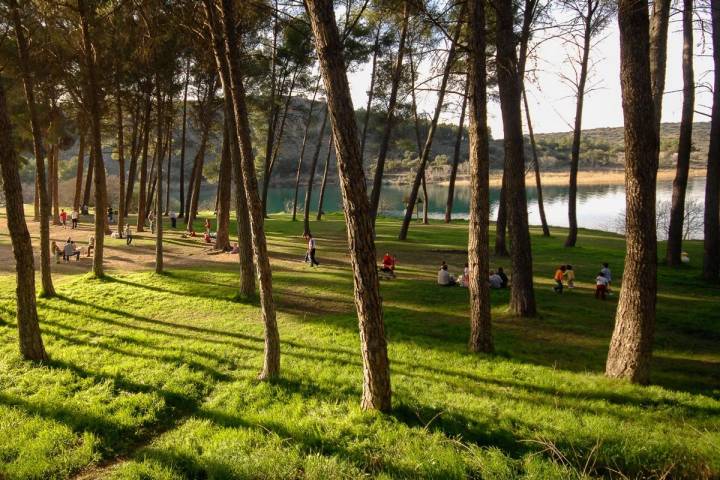 La laguna la Colgada, en Ciudad Real, un buen cobijo para pasar un día de verano. | Manuel Ruiz Toribio.