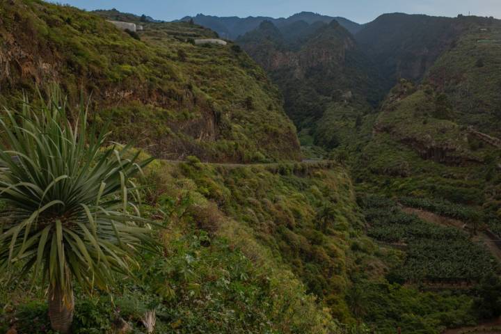 El frondoso barranco de San Juan.