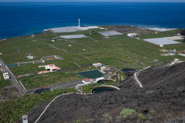 El faro de Punta Lava rodeado del manto verde de las plataneras.