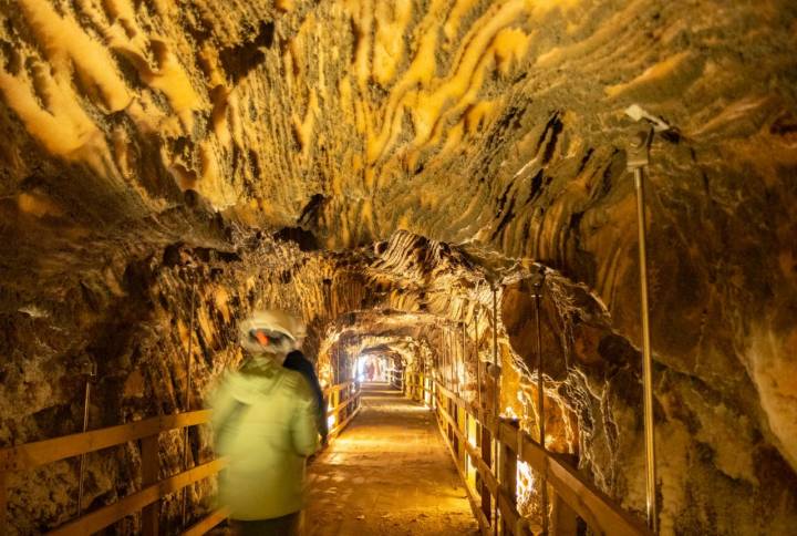 a visita se hace a lo largo de unos sencillos 500 metros llanos al pie de la montaña.