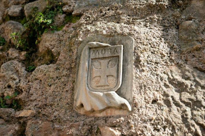 Detalle de escudo medieval.