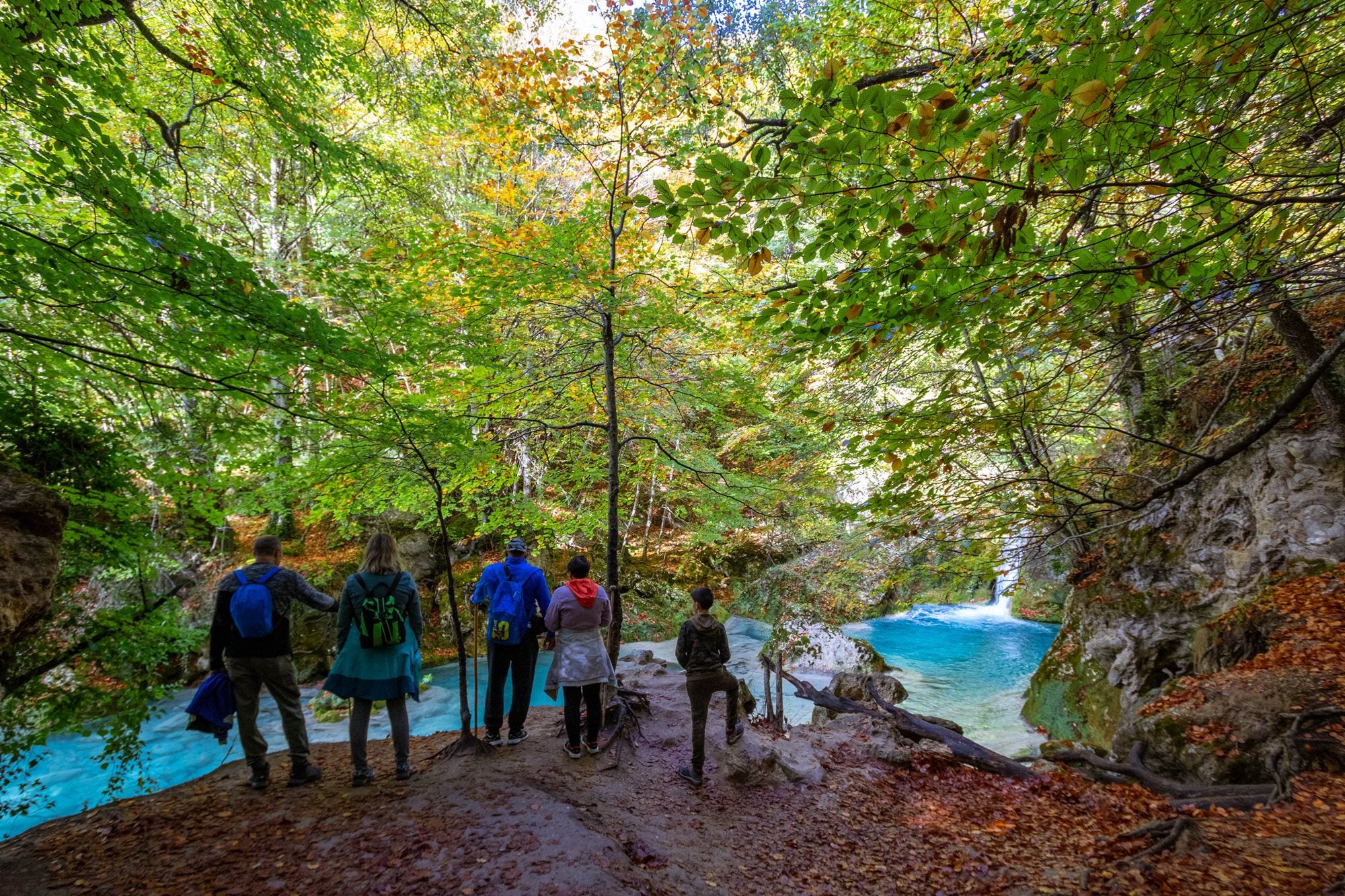 Azul turquesa y rojo haya en el río 'Aguahermosa'