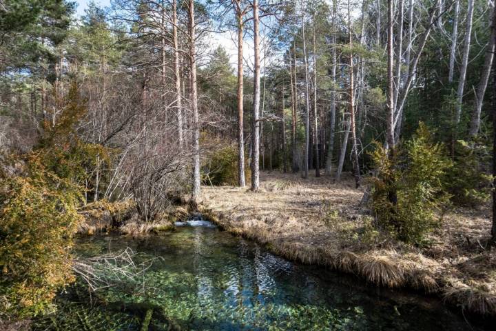 Nacimiento Río Cuervo Cuenca