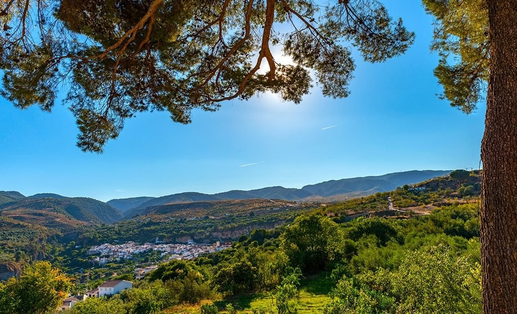Escapada cítrica por los pueblos blancos de Granada