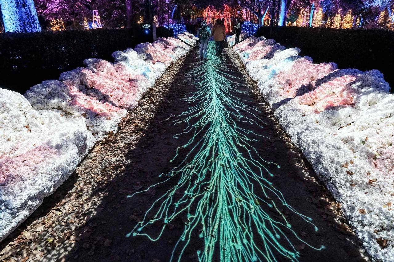 El Botánico te sumerge en las profundidades del océano