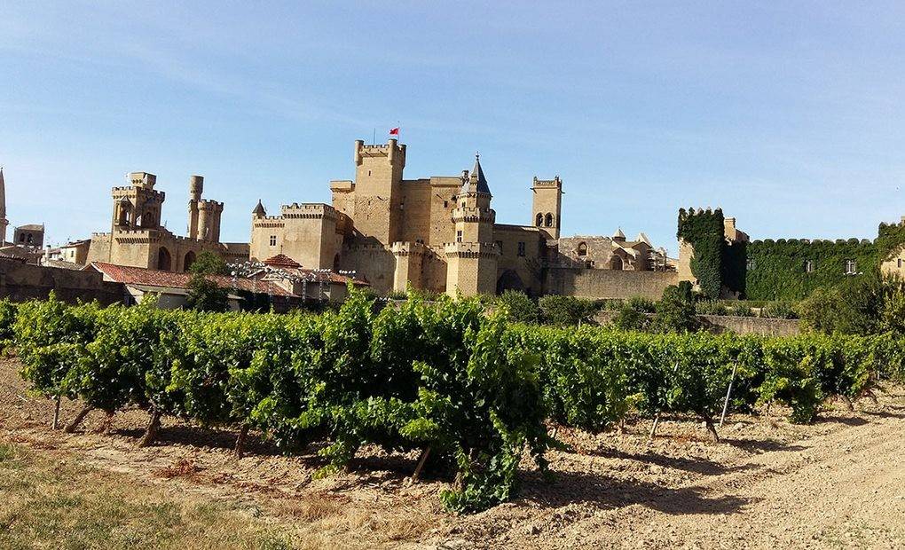 El Palacio de la Tierra Media está en Olite y su rey era un hombre, no un elfo