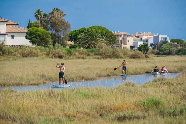 Paddle Surf Isla Canela chicos en SUP