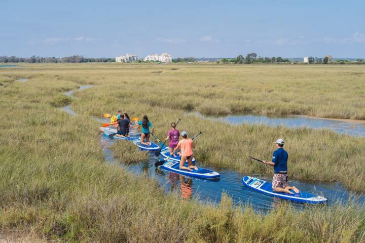 Paddle Surf Isla Canela grupo de rodillas