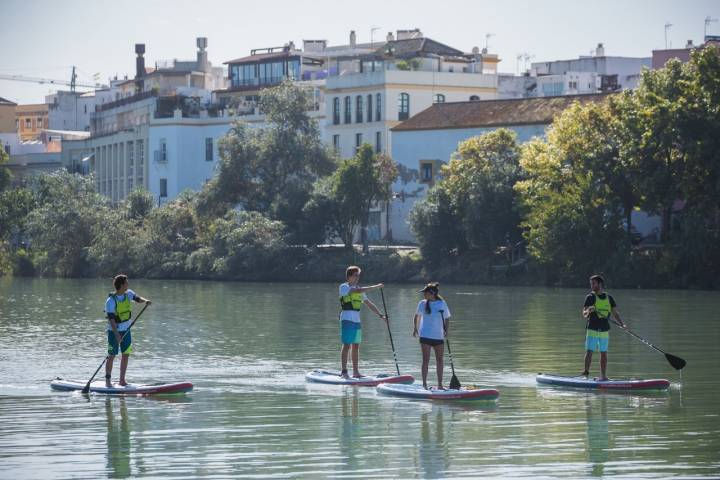 El recorrido incluye La Isla de la Cartuja, el barrio de Triana y el casco histórico, entre otras paradas.