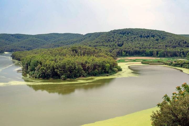 Pantano de Foix (Barcelona): embalse