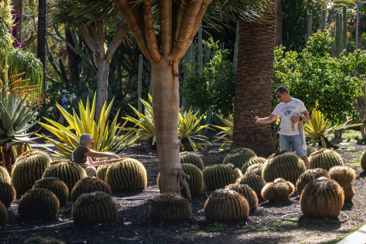Parque García Sanabria (Santa Cruz de Tenerife)