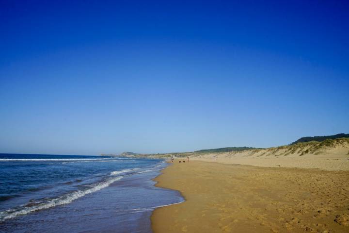 Dunas de Valdearenas 