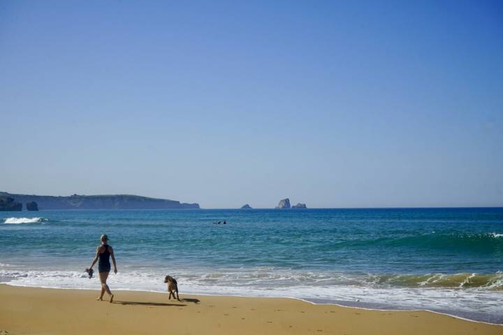 Una persona pasea con su mascota por la playa de Liencres