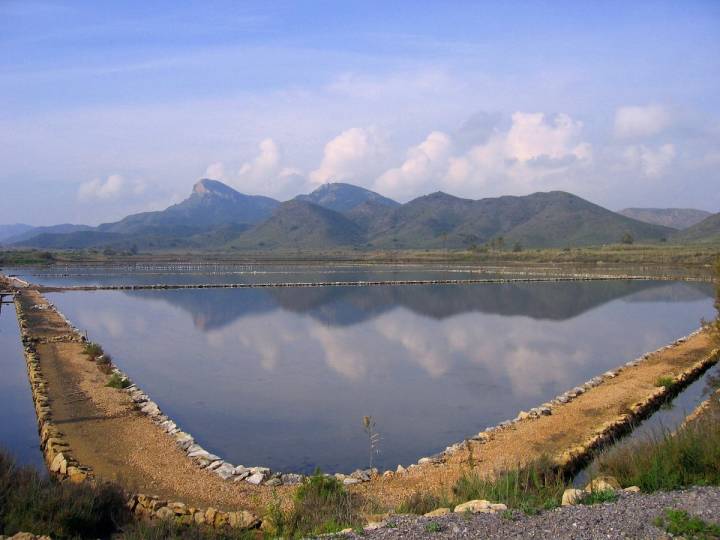 Las Salinas de Rassall son un humedal protegido en la actualidad.