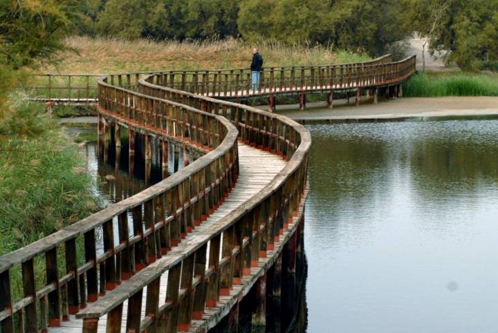 Parque Nacional Daimiel: paseo por el puente