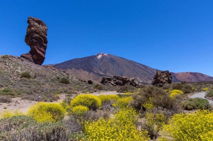 Parque Nacional Teide: Roque Cinchado