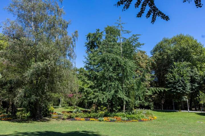 Parques San Sebastián árboles Aiete