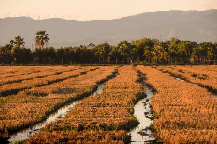 Delta del Ebro