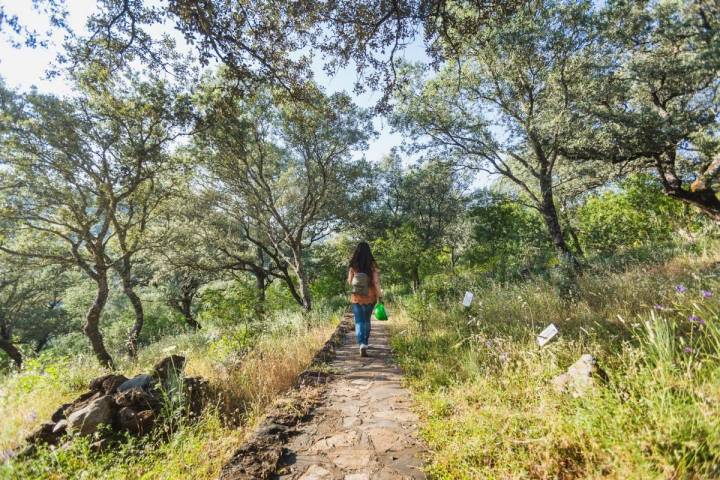 Recorriendo un sendero que une las cuevas en el exterior de las Cuevas de Fuentes de León, en la provincia de Badajoz.