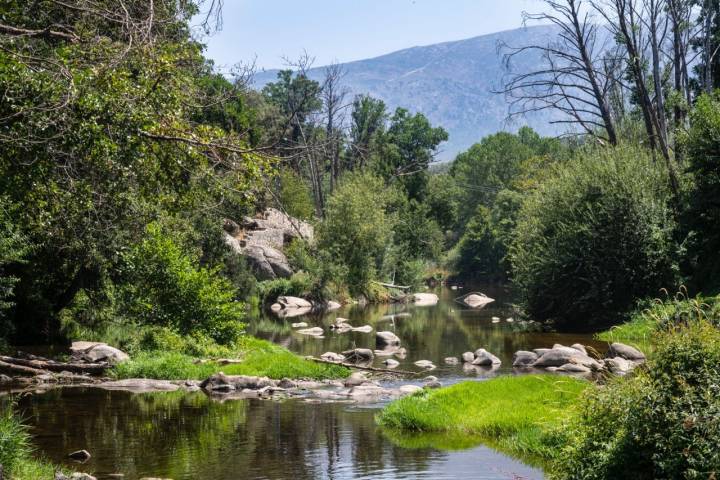 Río Alberche en Navaluenga