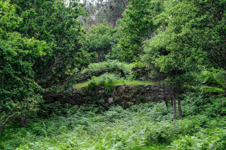 Yacimiento arqueológico de San Xoán da Misarela