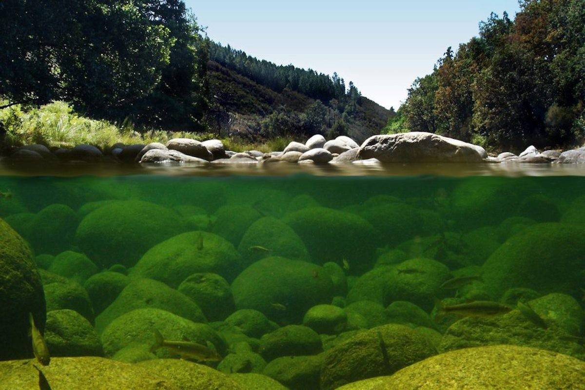 Garganta en La Vera.