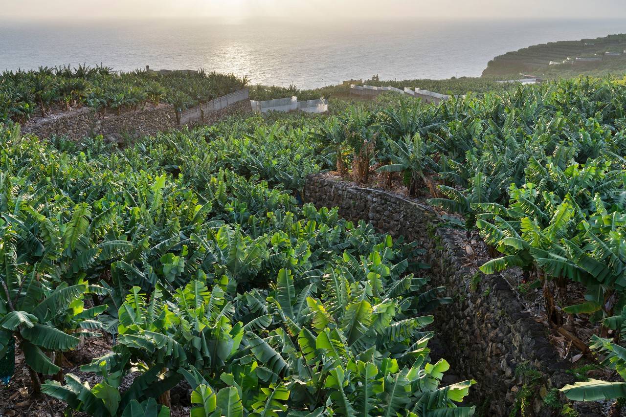 Este es uno de los paisajes más habituales de la isla. Foto: Agefotostock.