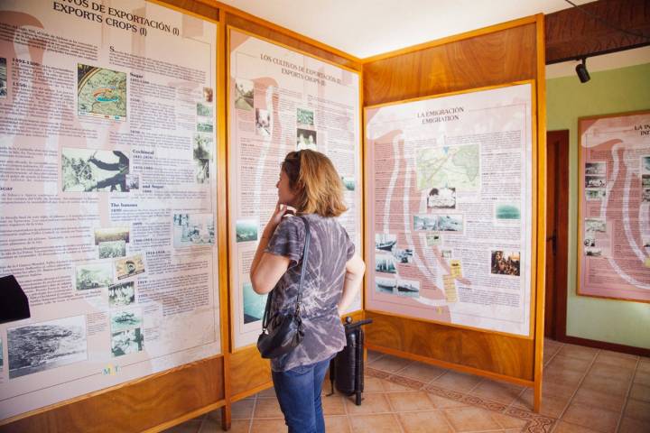 El Museo del plátano de Tazacorte es el único en Europa dedicado a la fruta canaria.