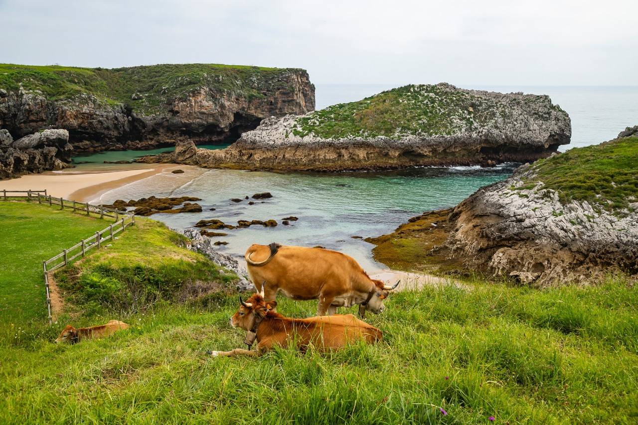 Mucho más que la mejor playa del mundo