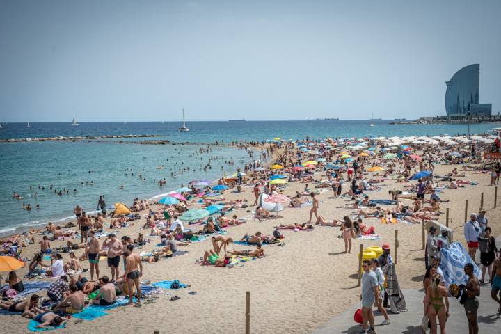 Playas de Barcelona Barceloneta gente