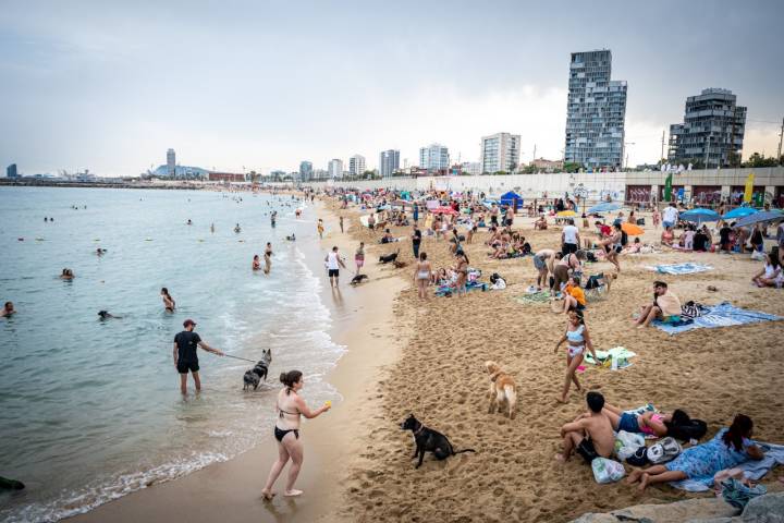 Playas de Barcelona Llevant