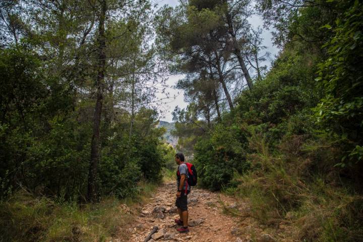 Un senderista en la Senda Blanca de Xeraco