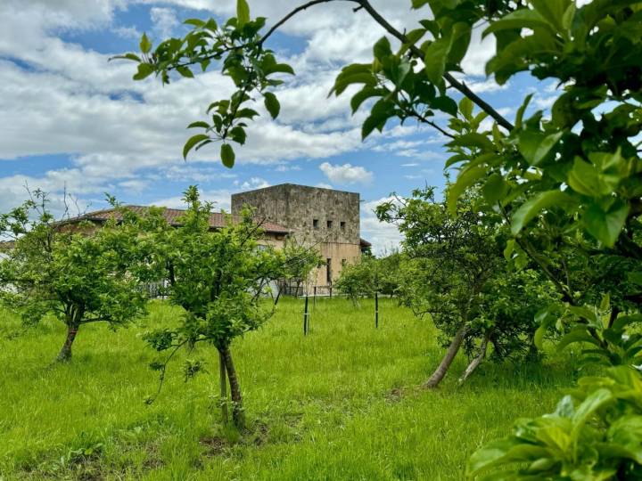 Edificio de la bodega de Valverán