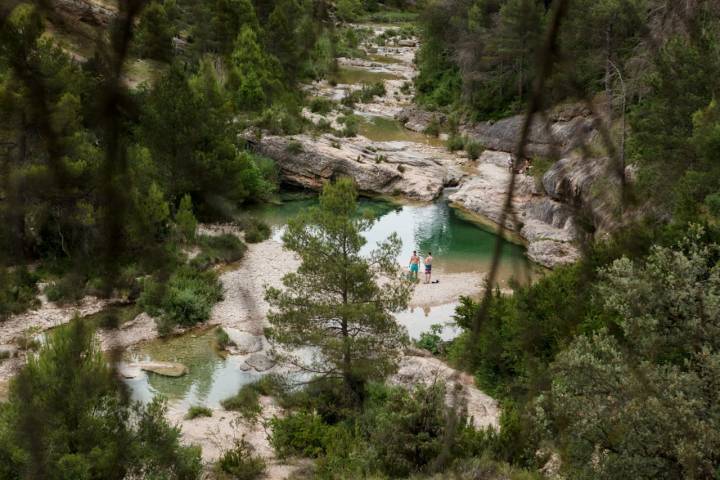 Pozas Comarca del Matarraña árboles en Las Pesqueras