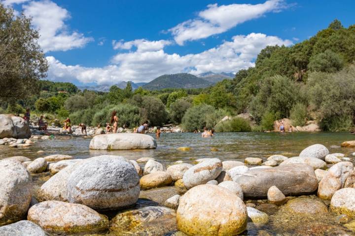 La garganta de Alardos apenas suma 20 kilómetros desde su nacimiento hasta su desembocadura en el río Tiétar.