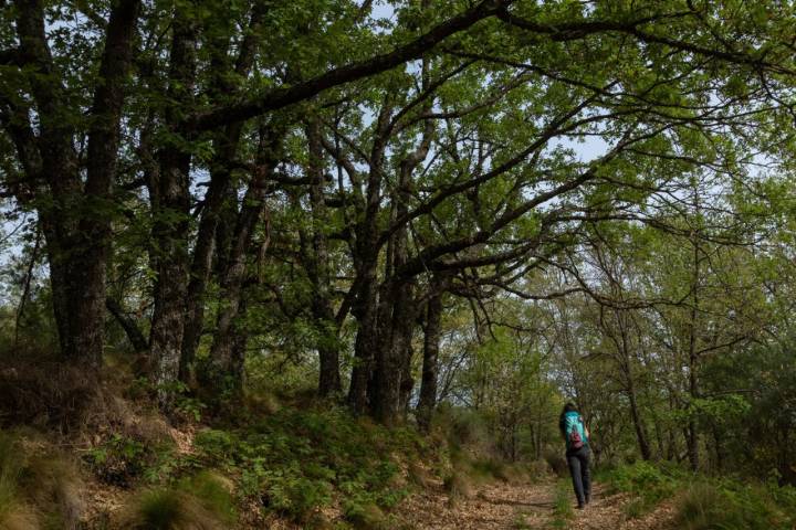 Ruta Lagunas Barco Ávila