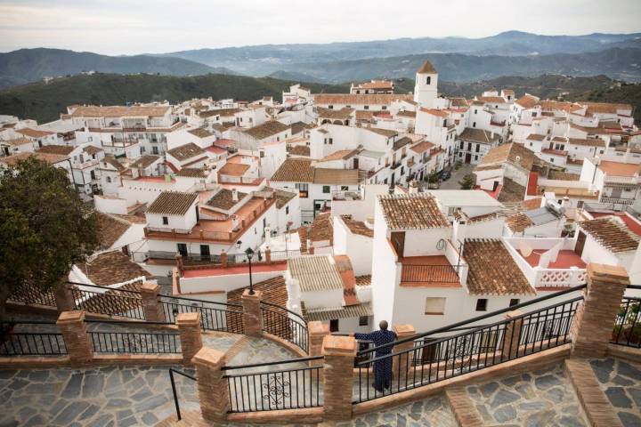 canillas de aceituno