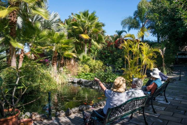 Los jardines de Sitio Litre, cada vez más apreciados por su paz y cuidados.