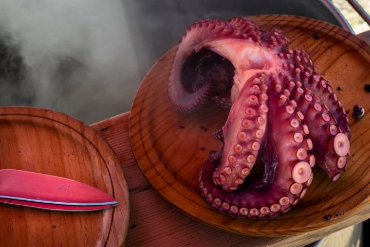 Pulpo Allariz