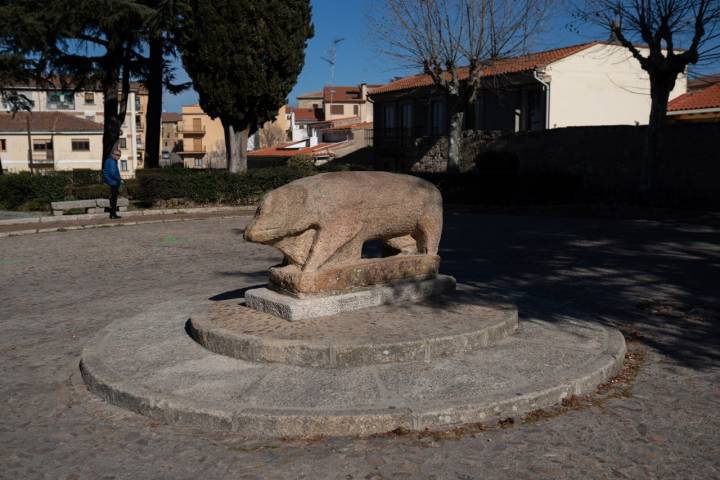 Qué ver Ciudad Rodrigo verraco