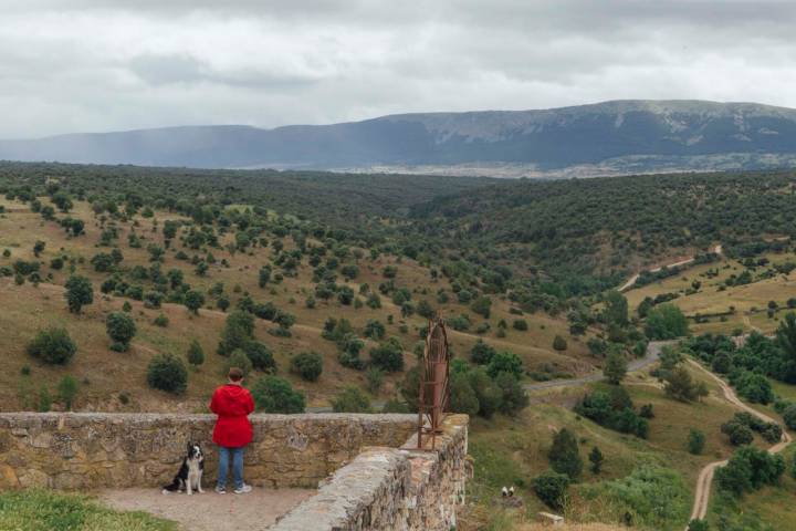 Vistas de pinares y Sierra del Guadarrama.