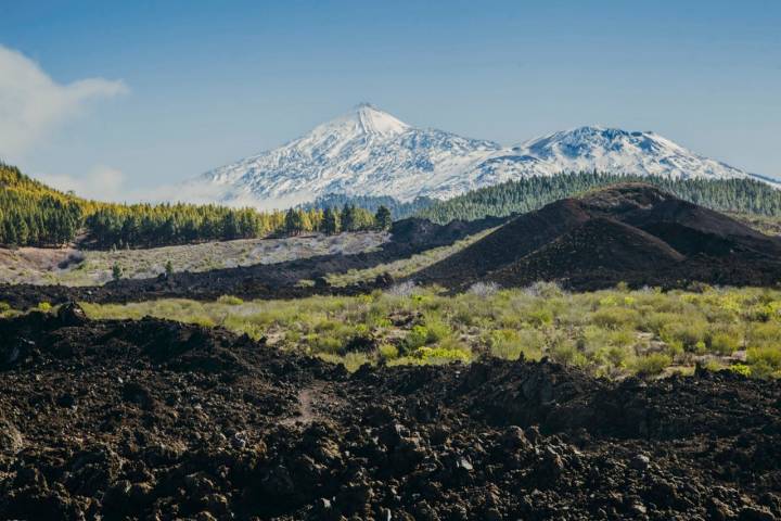 Teide Tenerife