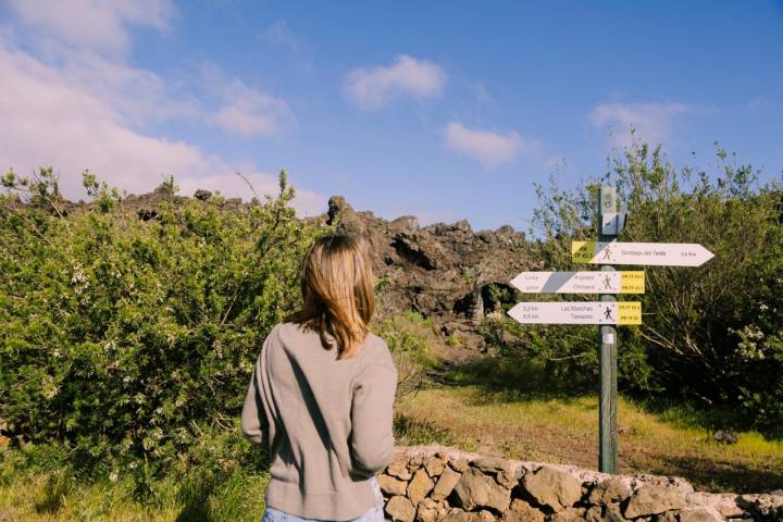 Almendros Santiago del Teide