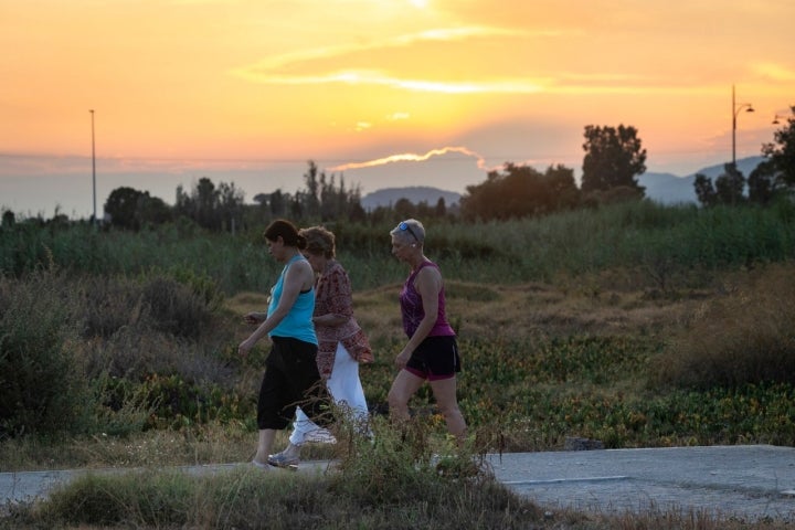 El Puig Santa María marjal