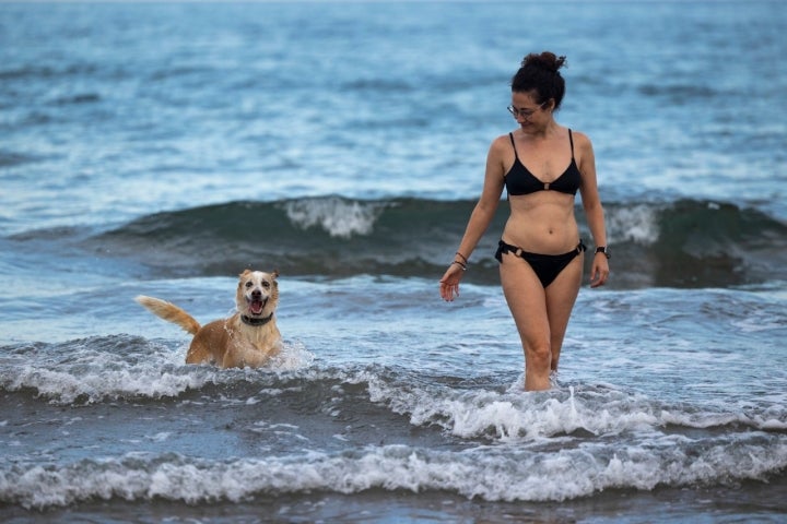 El Puig Santa María perro dueña