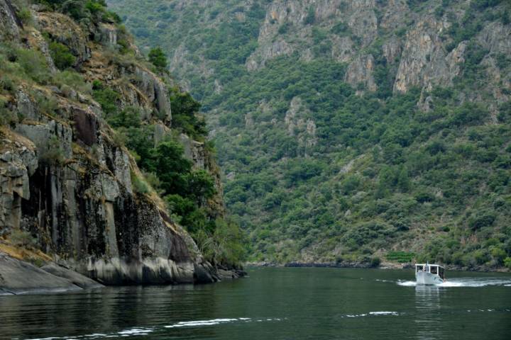 Crucero en catamarán por los cañones del Sil. Ribeira Sacra. Galicia. Foto: © Marga Estebaranz