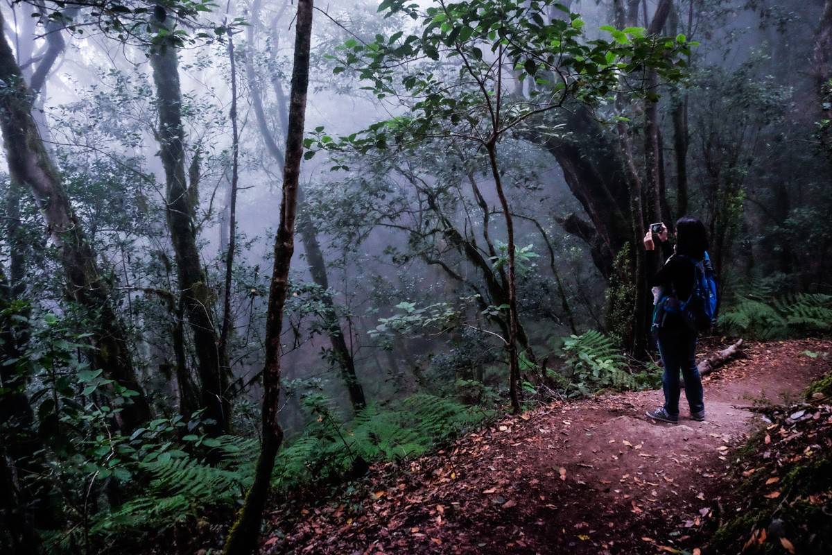 Brujas, fantasmas y demonios que habitan en la Isla Mágica