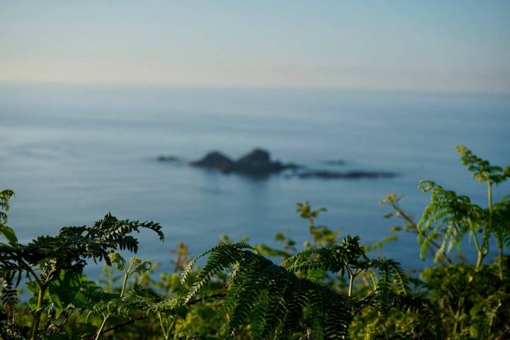 Asturias con los cinco sentidos: camino de la Costa