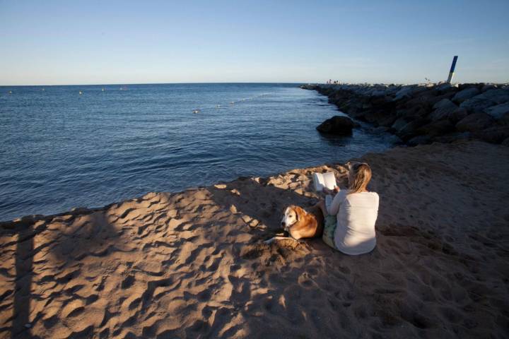 Una mujer leyendo, junto a su perro, en la playa de Bogatell (Barcelona).