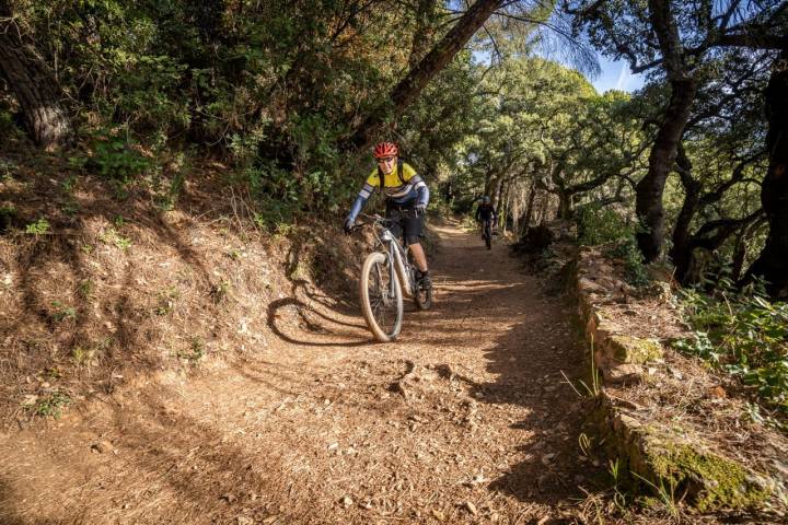 Ruta en bici Alájar